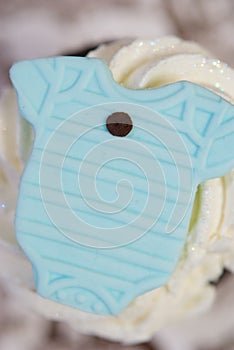 Pale Blue Onesie on Cup Cake