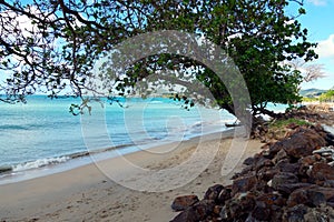 Pale blue sea and sandy beach with stones visible under a branch of leafy tree.
