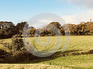 Pale blue sky over a beautiful Cornish Field