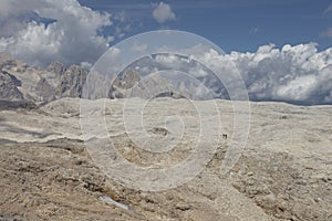 Pale di S.Martino group