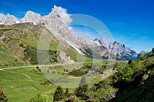 Pale di San Martino Dolomites. Passo Rolle, Trentino Alto Adige. Italy