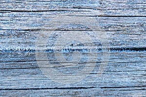 Pale faded brown and cool blue reclaimed pine wood surface with aged boards lined up. Weathered wooden planks on a wall