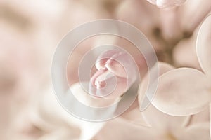 Pale pink beige neutral color little lilac flower closed bud on blur background for wedding invitation or vintage romantic