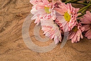 Pale pink flowers on a wooden table