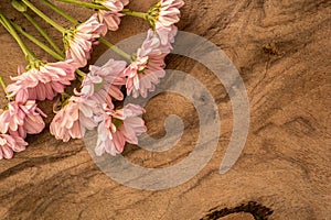 Pale pink flowers on a wooden table