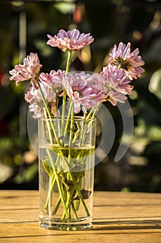 Pale pink flowers on a wooden table