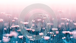 Pale pink forest flowers on a background of blue leaves and stems. Artistic natural macro image. Concept spring summer.