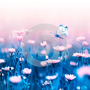 Pale pink forest flowers and butterfly on a background of blue leaves and stems. Artistic natural macro image.