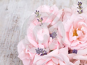 Pale pink roses and lavender bouquet on the white background