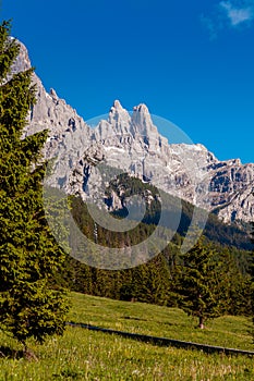 The Pale of San Martino group