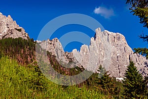 The Pale of San Martino group