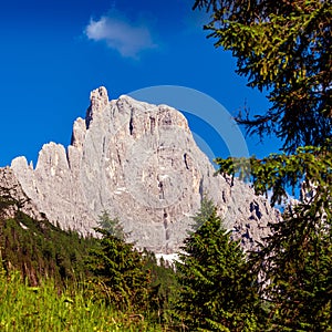 The Pale of San Martino group