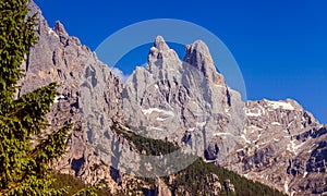 The Pale of San Martino group