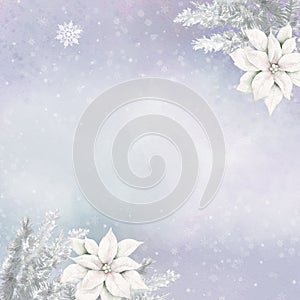 Pale winter leaves, fir twigs and poinsettia with snowflakes - botanical design banner. Floral pastel watercolor border frame