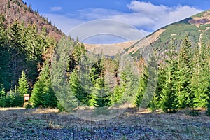 Palenica mountain meadow in Vajskovska dolina valey in Low Tatras