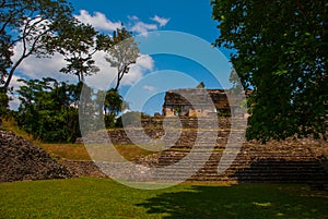 Palenque, Chiapas, Mexico: Ancient Mayan pyramid with steps among the trees in Sunny weather