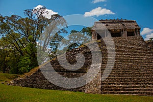 Palenque, Chiapas, Mexico: Ancient Mayan pyramid with steps among the trees in Sunny weather