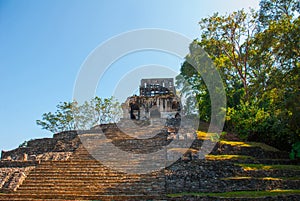 Palenque, Chiapas, Mexico: Archaeological area with ruins, temples and pyramids in the ancient city of Maya