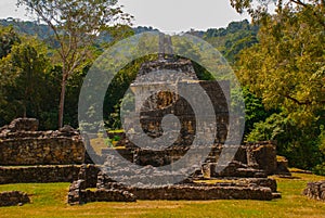 Palenque, Chiapas, Mexico: Archaeological area with ruins, temples and pyramids in the ancient city of Maya.