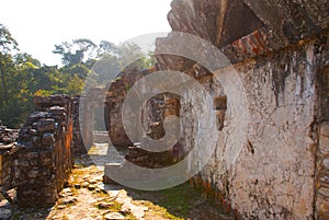 Palenque, Chiapas, Mexico: The Palace, one of the Mayan buiding ruins in Palenque.