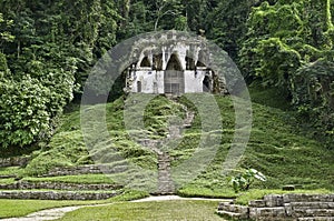 Palenque - maya temple photo