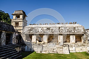 Palenque - Mayan City ruins