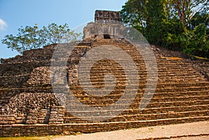 Palenque, Chiapas, Mexico: Huge ancient pyramid with steps in the archaeological complex.