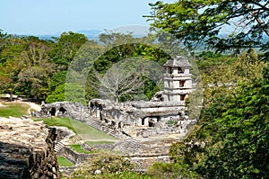 Palenque ruins, ancient maya city in jungle of Mexico