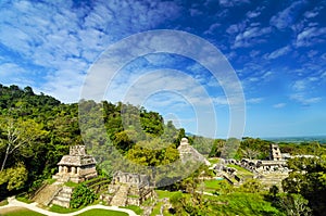 Palenque View