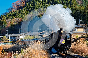 The Paleo Express hauled by a steam locomotive travels on Seibu Chichibu Railway thru the idyllic countryside