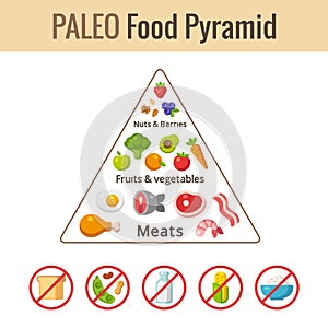 Paleo food pyramid