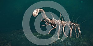 Hallucigenia, prehistoric aquatic animal from the Cambrian Period 3d paleoart illustration photo