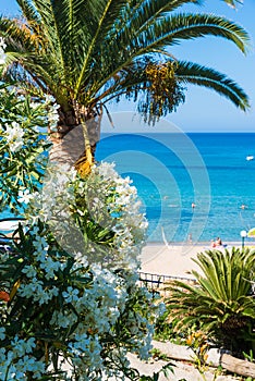 Paleokastritsa bay on Corfu island, Ionian archipelago, Greece