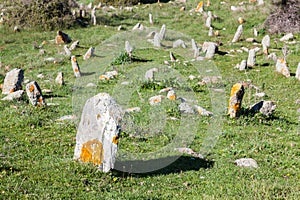 Paleolithic cemeteries