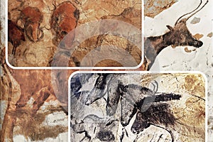 Paleolithic wall art in the famous Grotte Chauvet in France one of the most important European prehistoric sites