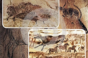 Paleolithic wall art in the famous Grotte Chauvet in France one of the most important European prehistoric sites