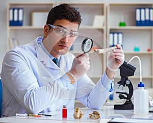 Paleontologist looking at extinct animal bone