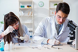 The paleontologists looking at bones of extinct animals