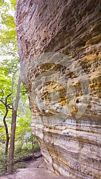 Paleozoic Path photo