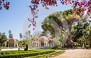 Palermo Botanical Gardens Orto Botanico, Palermo, Sicily
