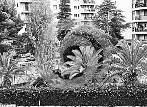 Palermo nature black and white