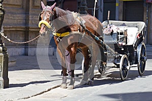 Palermo, Quattro Canti photo