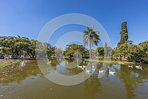 Palermo Woods in Buenos Aires, Argentina