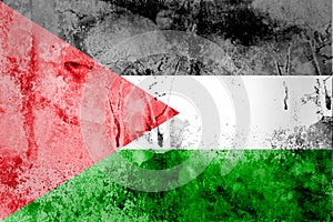 Palestine Flag