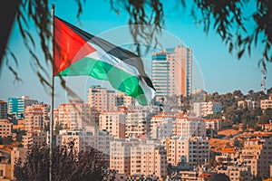 Palestine flag as through the tree with some city buildings at Ramallah