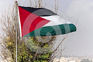 Palestine Flag on the top of building