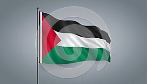 Palestine flag waving