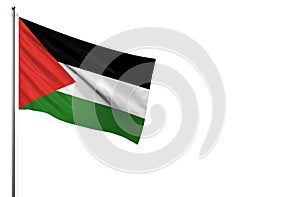 Palestine national flag isolated on white background.