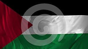 Palestinian flag video waving in wind. Realistic Palestine Flag background. Looping Closeup 1080p Full HD