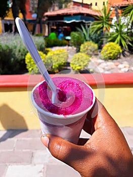 Paleta on a hot day in san miguel allende mexico with plants in background photo